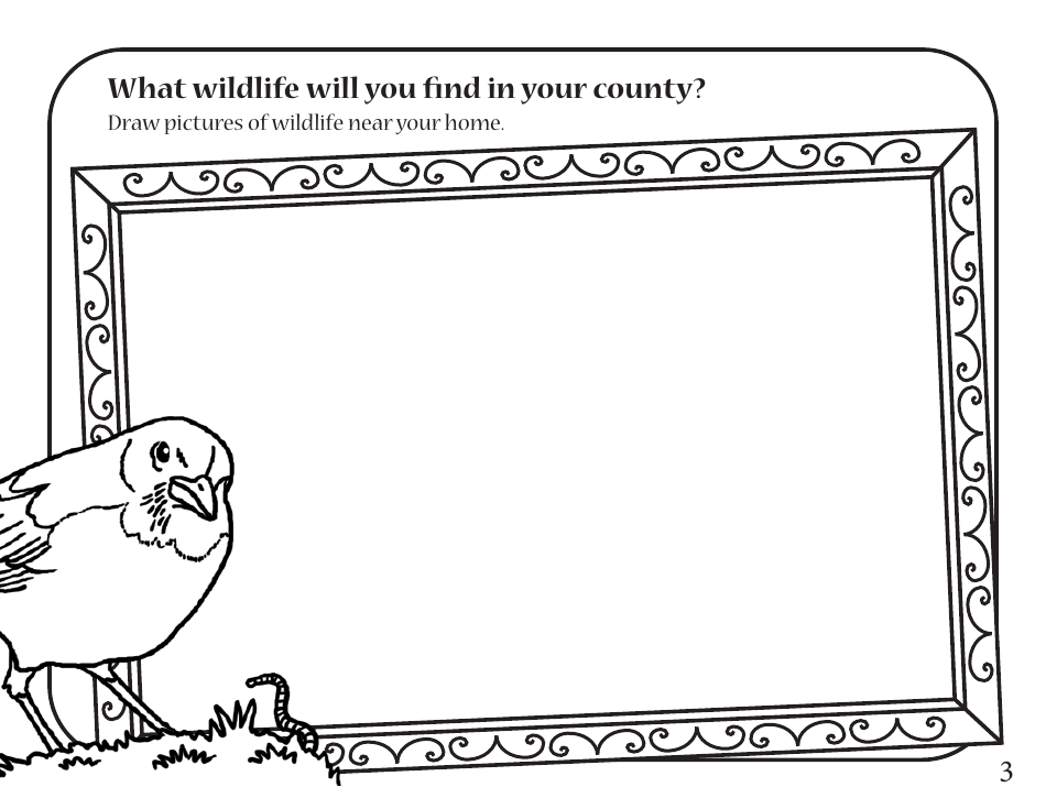 Fun With Fish and Wildlife Activity Book - Kentucky, Page 5