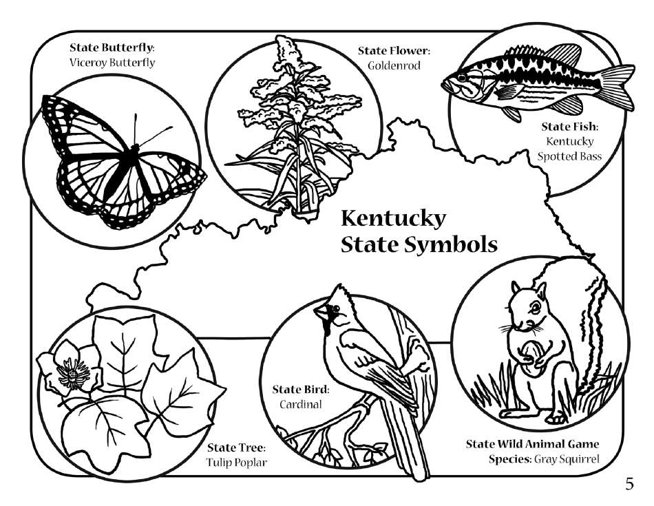 Fun With Fish and Wildlife Activity Book - Kentucky, Page 7