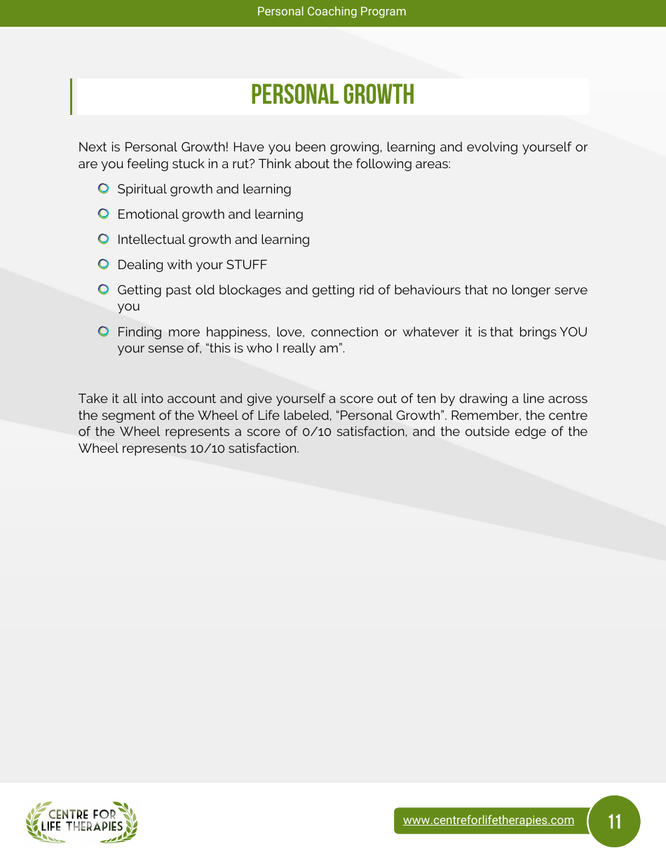 Wheel of Life Self-coaching Book, Page 11