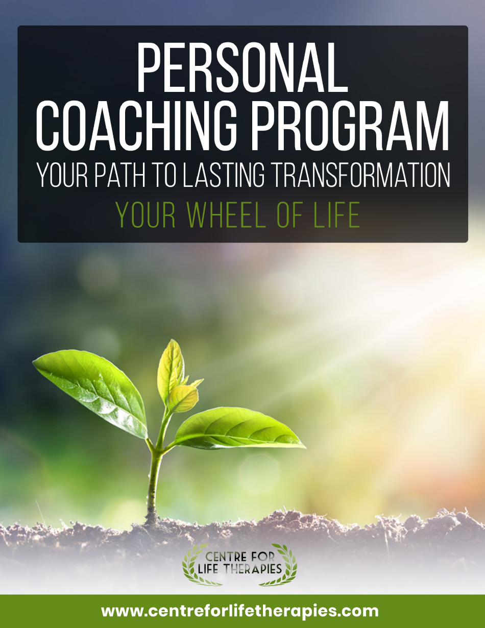 Wheel of Life Self-coaching Book, Page 1