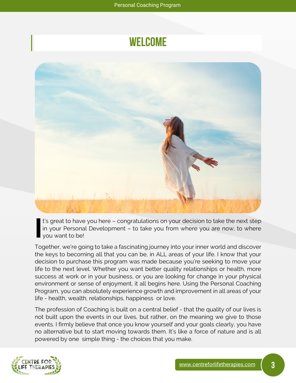 Wheel of Life Self-coaching Book, Page 3