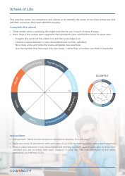 Document preview: Wheel of Life Exercise Sheet