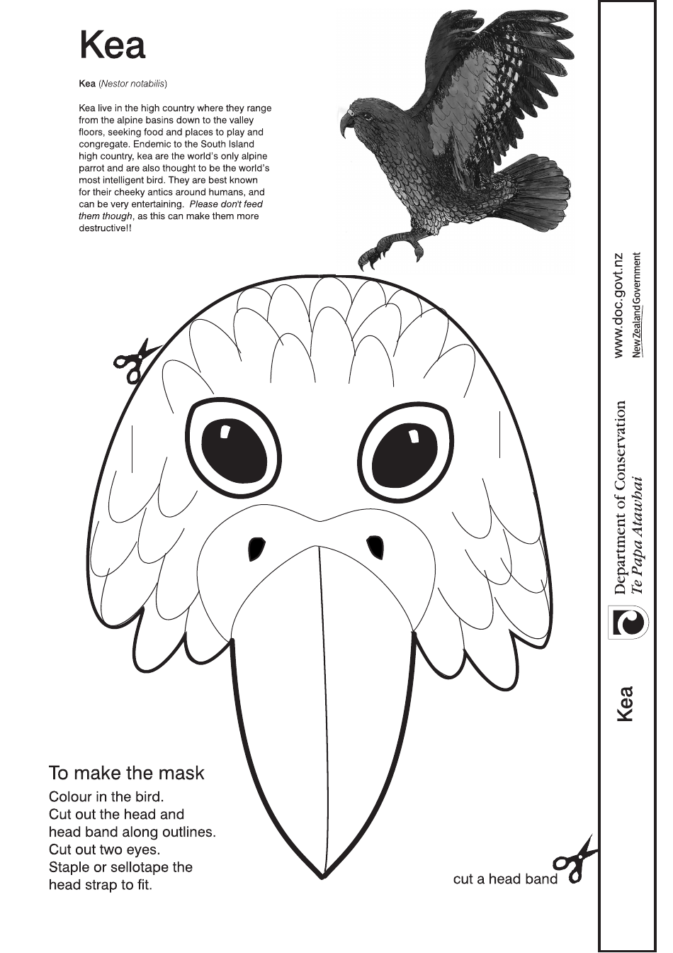 Kea Mask - New Zealand, Page 1