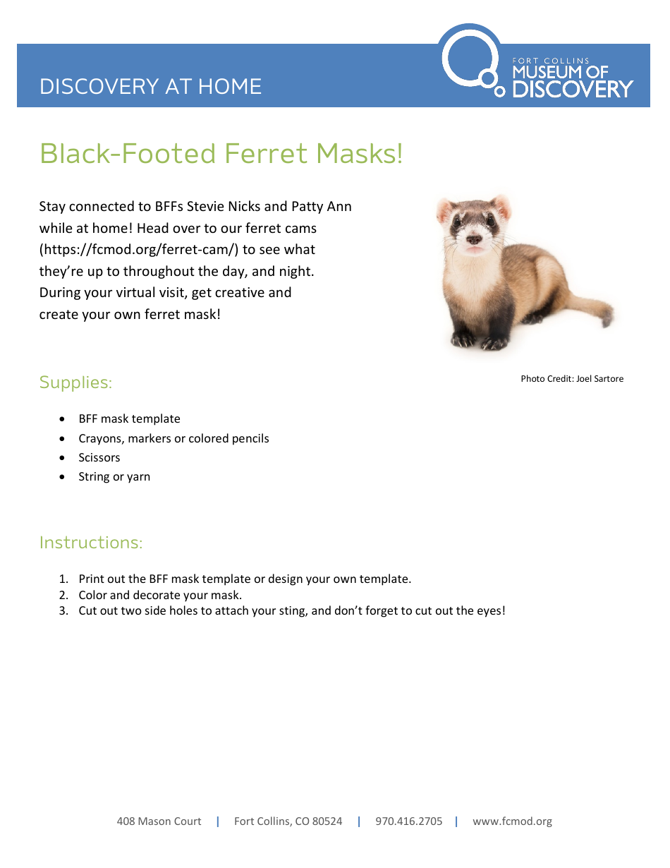 Black-Footed Ferret Mask Coloring Template, Page 1