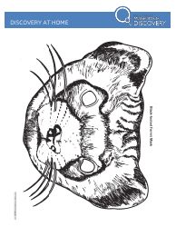 Black-Footed Ferret Mask Coloring Template, Page 2