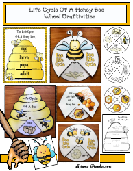 Document preview: Honey Bee Life Cycle Wheel Templates