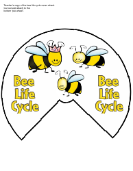 Honey Bee Life Cycle Wheel Templates, Page 10