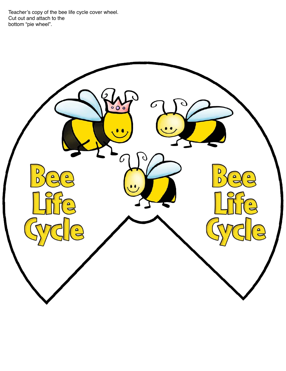 Honey Bee Life Cycle Wheel Templates, Page 10