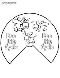 Honey Bee Life Cycle Wheel Templates, Page 11