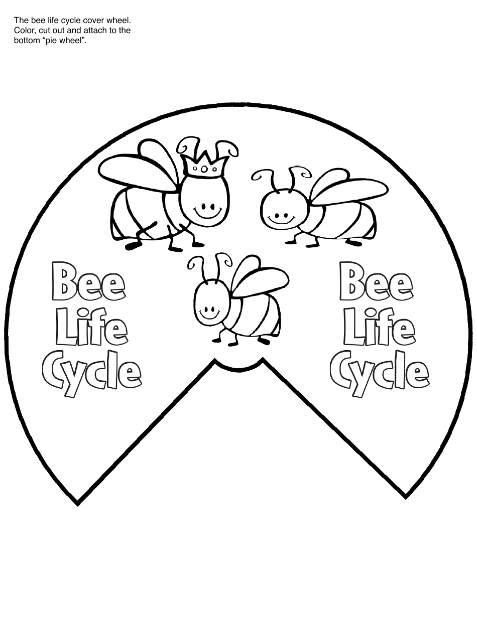 Honey Bee Life Cycle Wheel Templates, Page 11