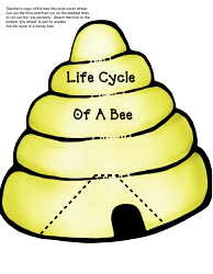 Honey Bee Life Cycle Wheel Templates, Page 21
