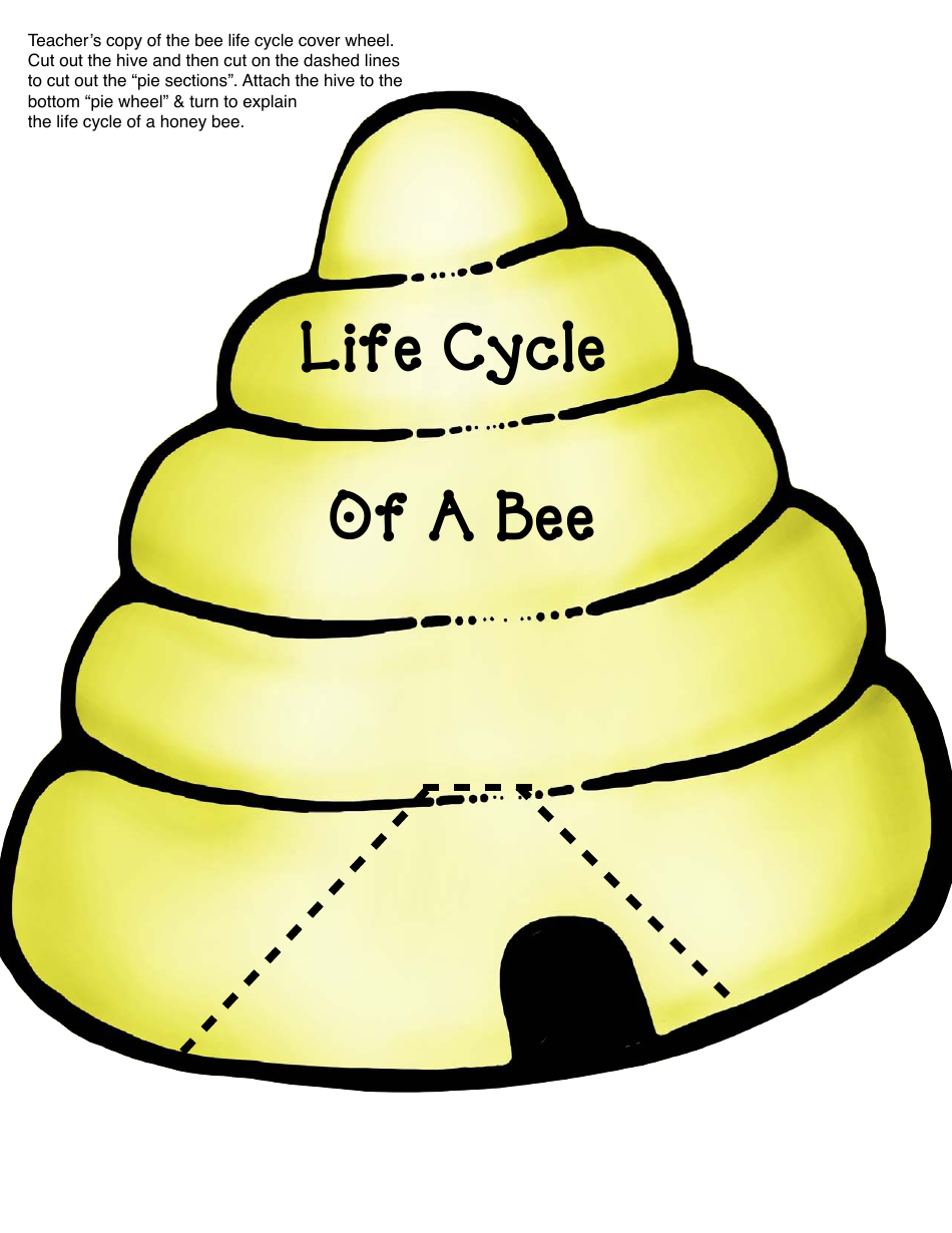 Honey Bee Life Cycle Wheel Templates, Page 21