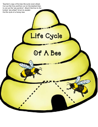 Honey Bee Life Cycle Wheel Templates, Page 22