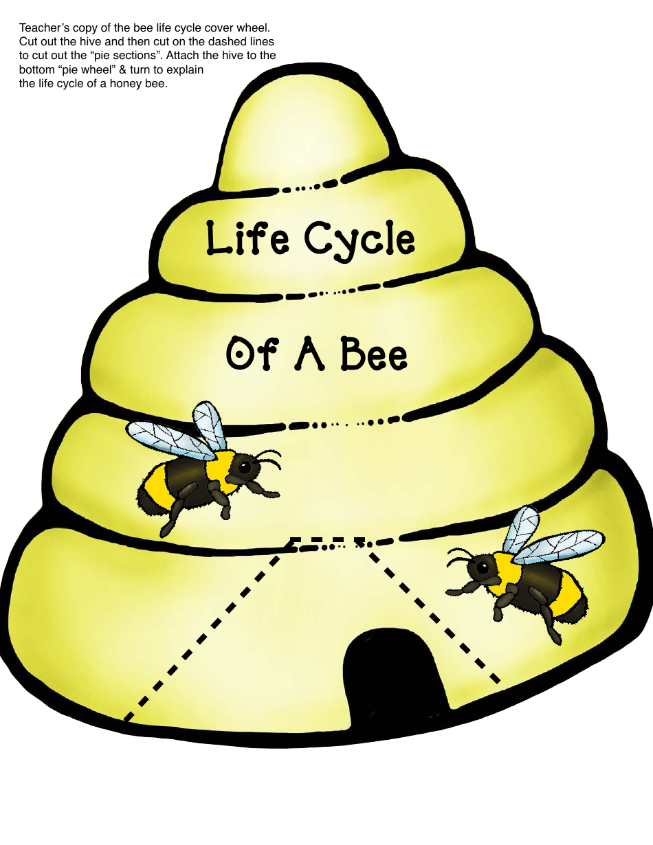 Honey Bee Life Cycle Wheel Templates Download Printable Pdf Templateroller