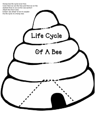 Honey Bee Life Cycle Wheel Templates, Page 25