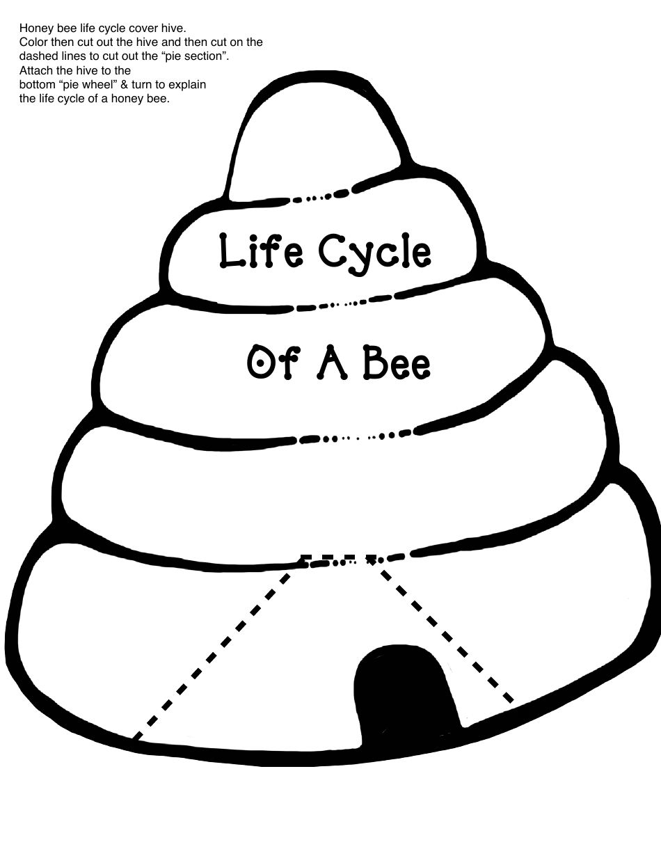 Honey Bee Life Cycle Wheel Templates, Page 25