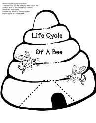Honey Bee Life Cycle Wheel Templates, Page 26