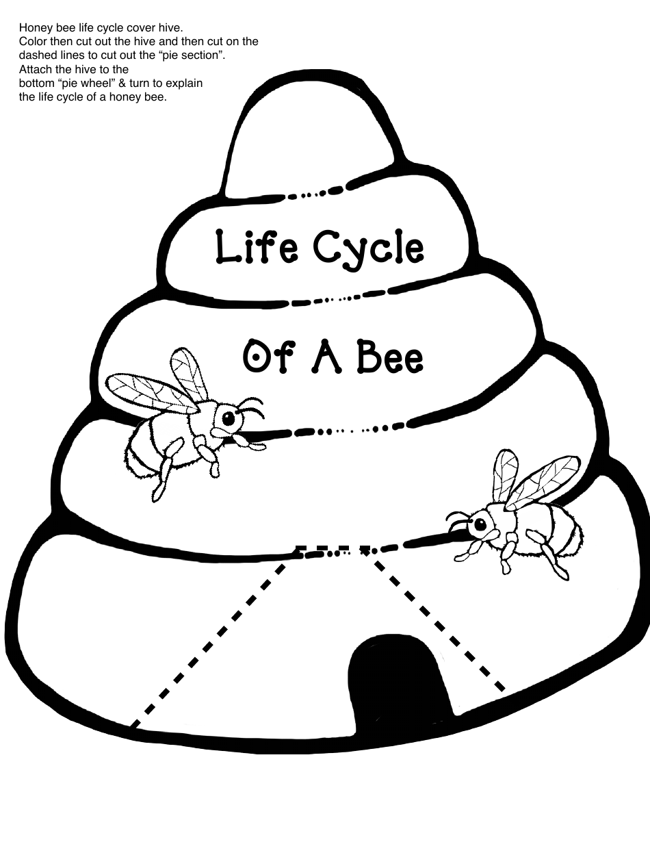 Honey Bee Life Cycle Wheel Templates Download Printable Pdf Templateroller 8793