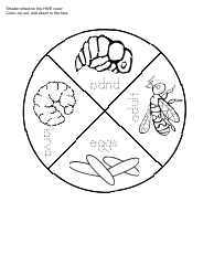 Honey Bee Life Cycle Wheel Templates, Page 28