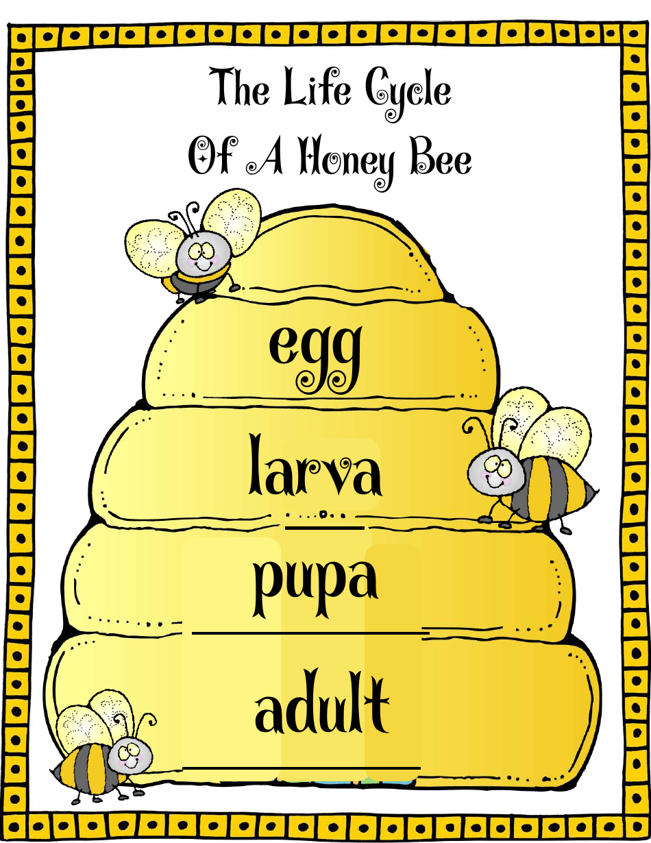 Honey Bee Life Cycle Wheel Templates, Page 29