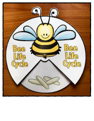 Honey Bee Life Cycle Wheel Templates, Page 2
