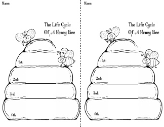 Honey Bee Life Cycle Wheel Templates, Page 32