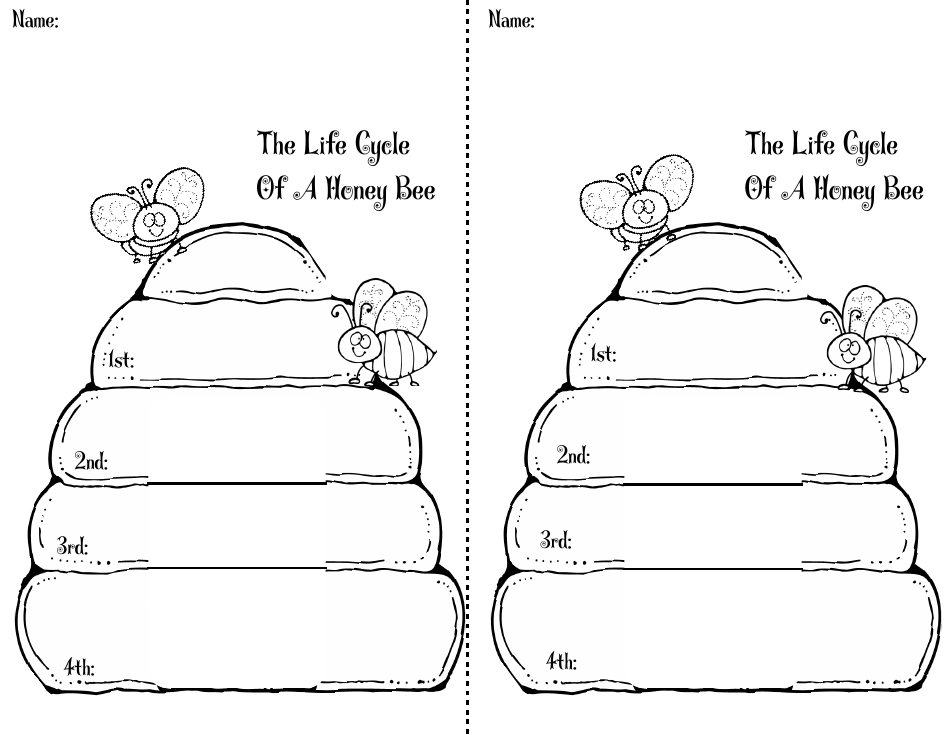 Honey Bee Life Cycle Wheel Templates, Page 32