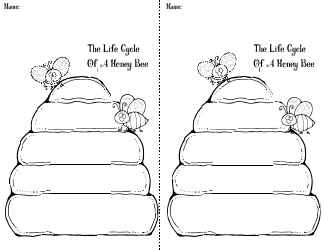 Honey Bee Life Cycle Wheel Templates, Page 33