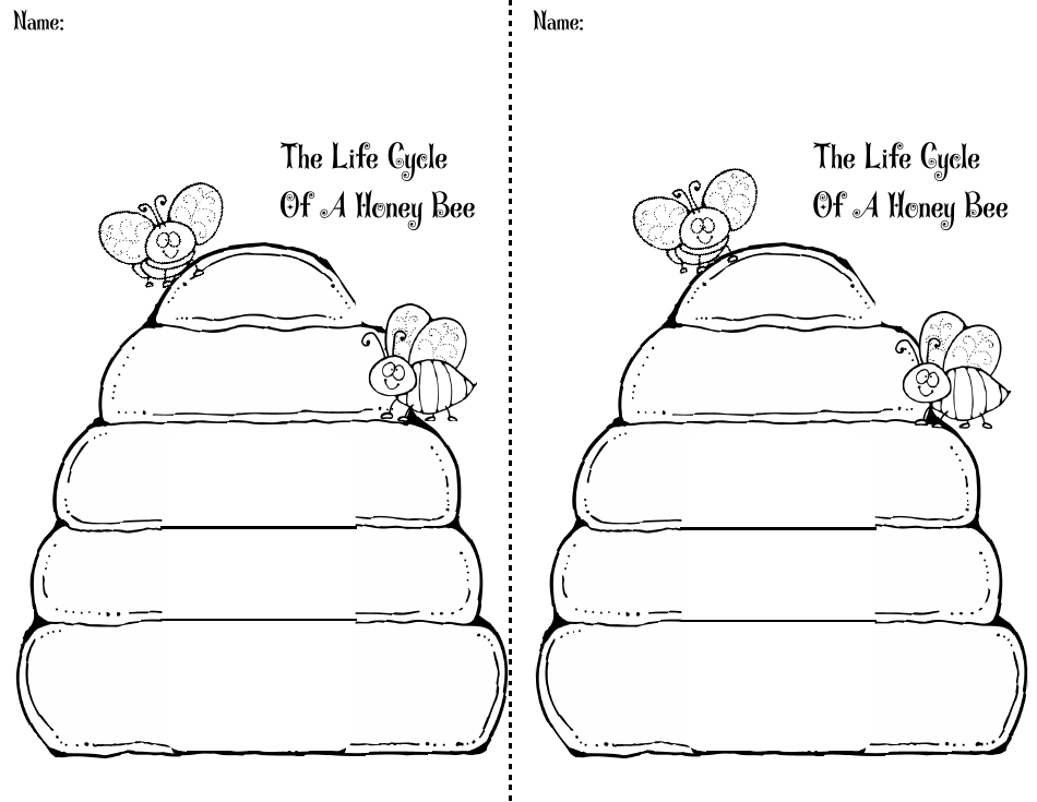 Honey Bee Life Cycle Wheel Templates, Page 33