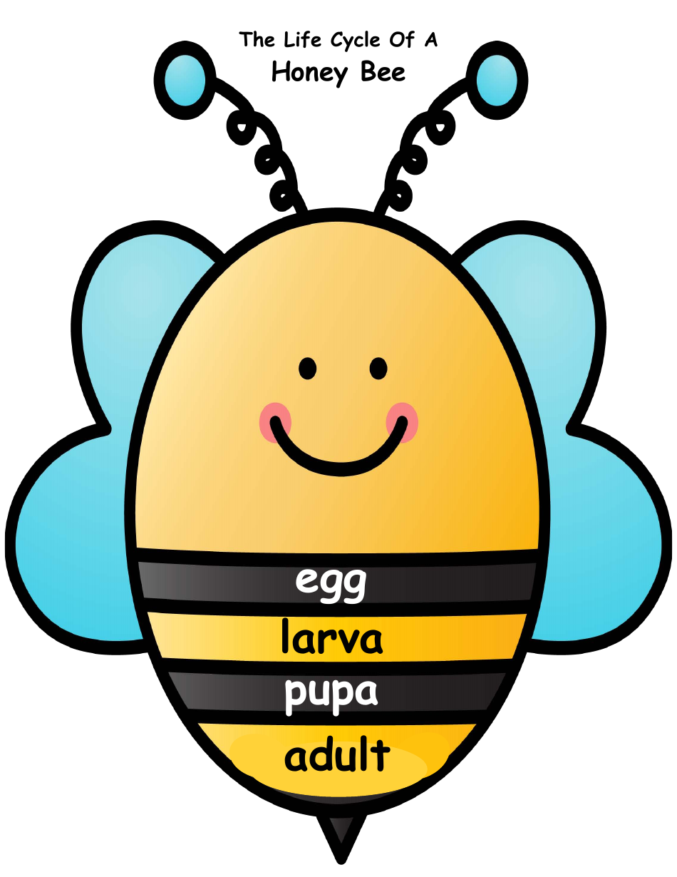 Honey Bee Life Cycle Wheel Templates, Page 34