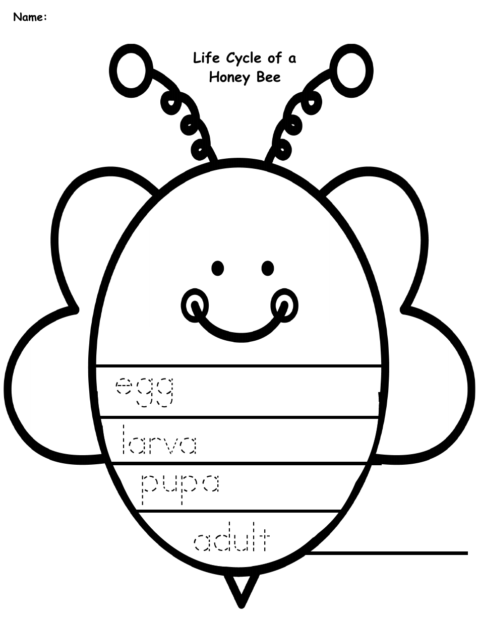 Honey Bee Life Cycle Wheel Templates, Page 36