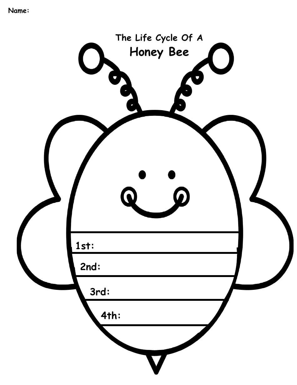 Honey Bee Life Cycle Wheel Templates, Page 37