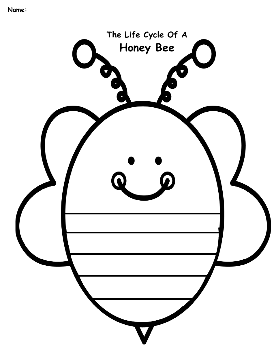 Honey Bee Life Cycle Wheel Templates, Page 38