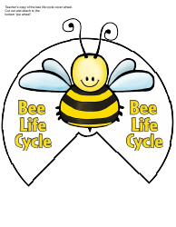 Honey Bee Life Cycle Wheel Templates, Page 3