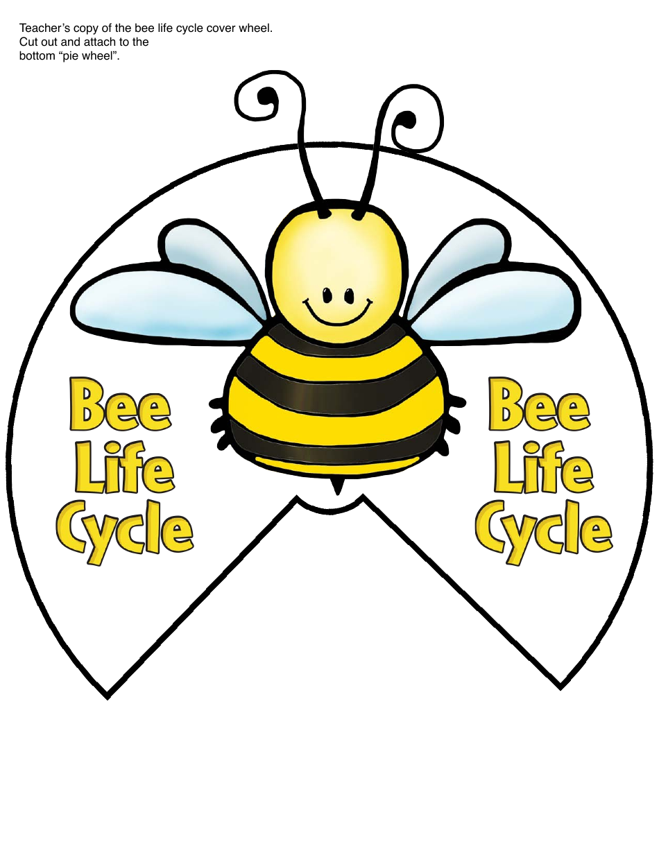 Honey Bee Life Cycle Wheel Templates, Page 3