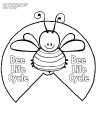 Honey Bee Life Cycle Wheel Templates, Page 6