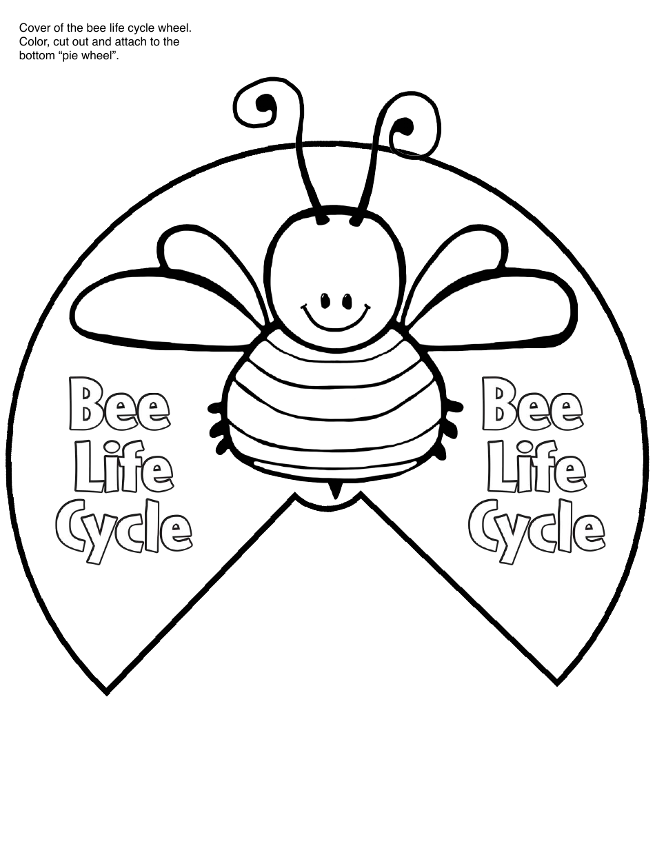 Honey Bee Life Cycle Wheel Templates, Page 6