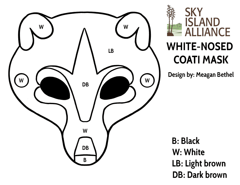 Coati Mask Coloring Template