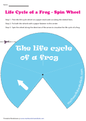 Document preview: Frog Life Cycle Spin Wheel