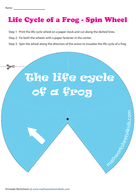 Frog Life Cycle Spin Wheel