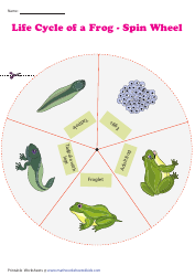Frog Life Cycle Spin Wheel, Page 2