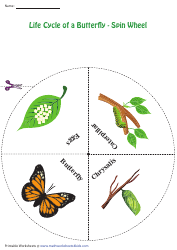 Butterfly Life Cycle Spin Wheel, Page 2