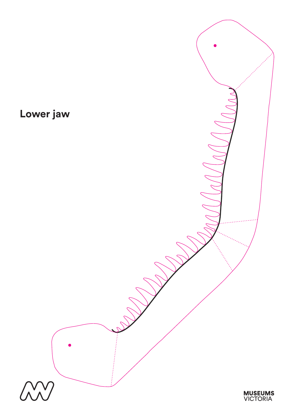 T-Rex Mask Template, Page 3