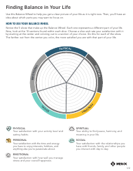 Document preview: Life Balance Wheel Template