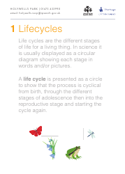 Document preview: Life Cycle Activity Sheet