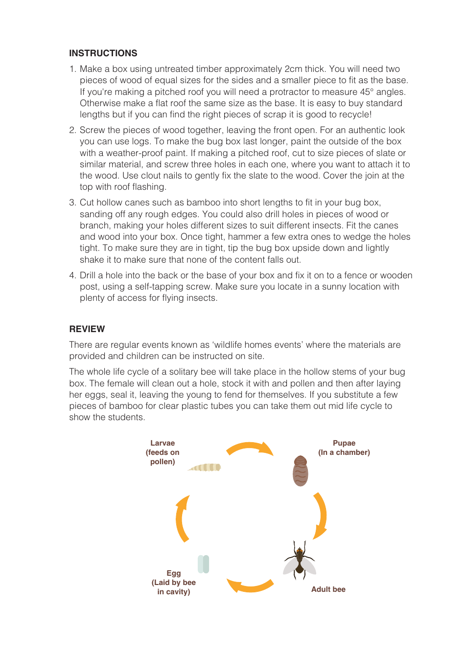Life Cycle Activity Sheet, Page 10