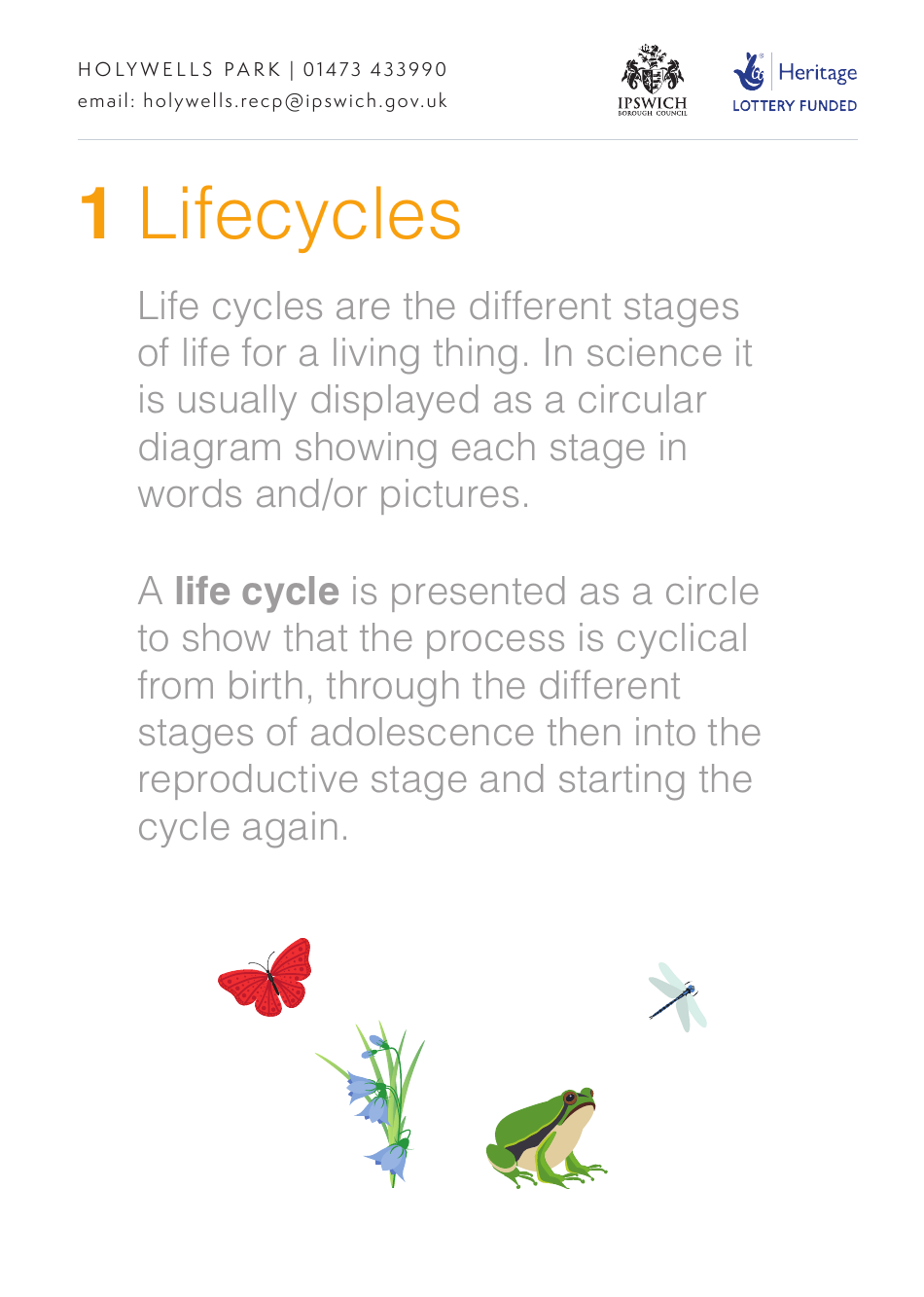 Life Cycle Activity Sheet, Page 1