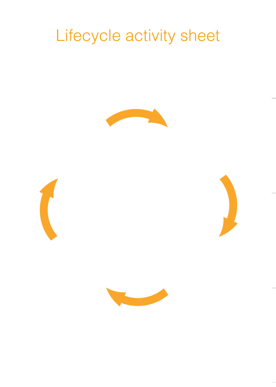 Life Cycle Activity Sheet, Page 5