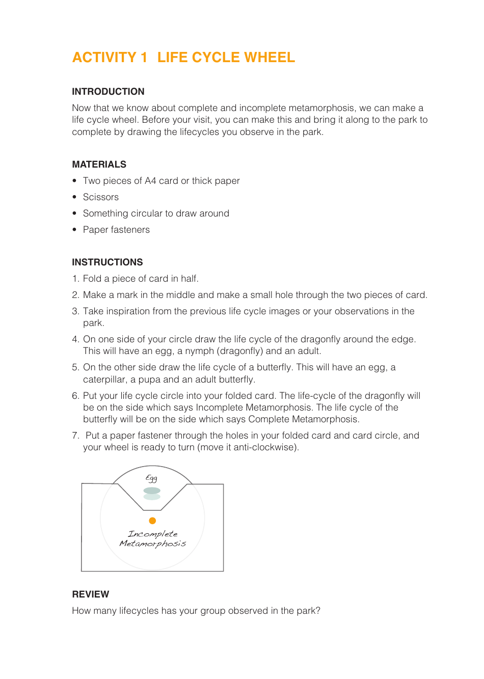 Life Cycle Activity Sheet, Page 7