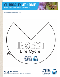 Insect Life Cycle Worksheet, Page 2